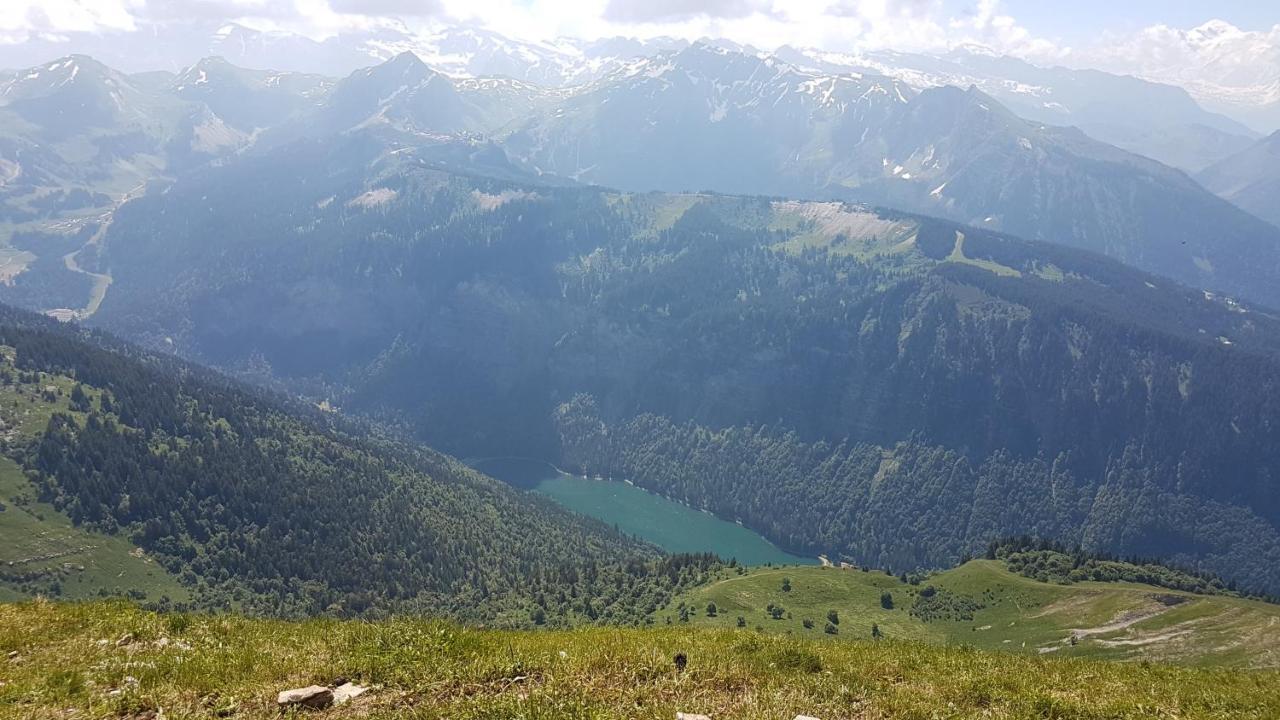 Appartement Proche Morzine Centre Et Remontees Mecaniques - Oree De Morzine 24A Montriond Eksteriør bilde